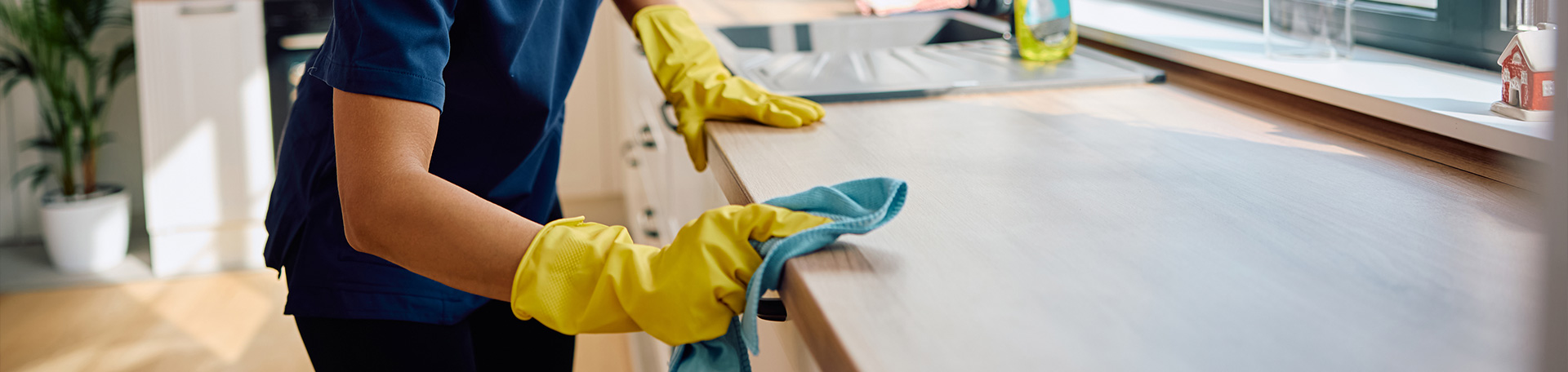 Reinigungskraft mit Handschuhen wischt eine Küchenarbeitsfläche sauber.